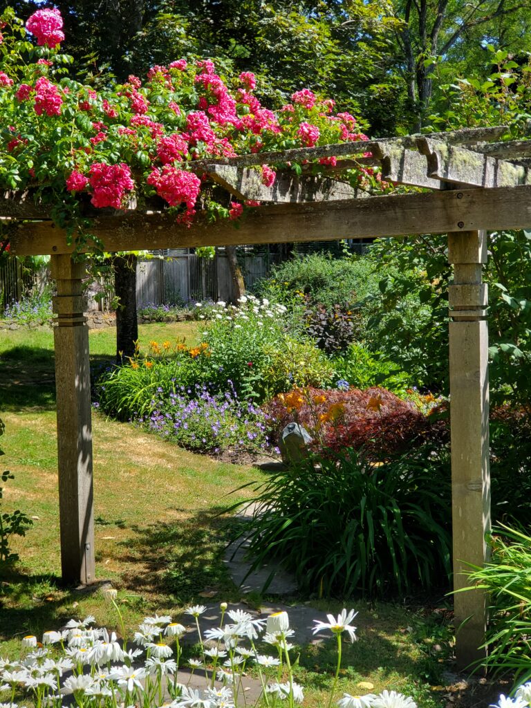 Rose-covered arbour over a flowering garden
