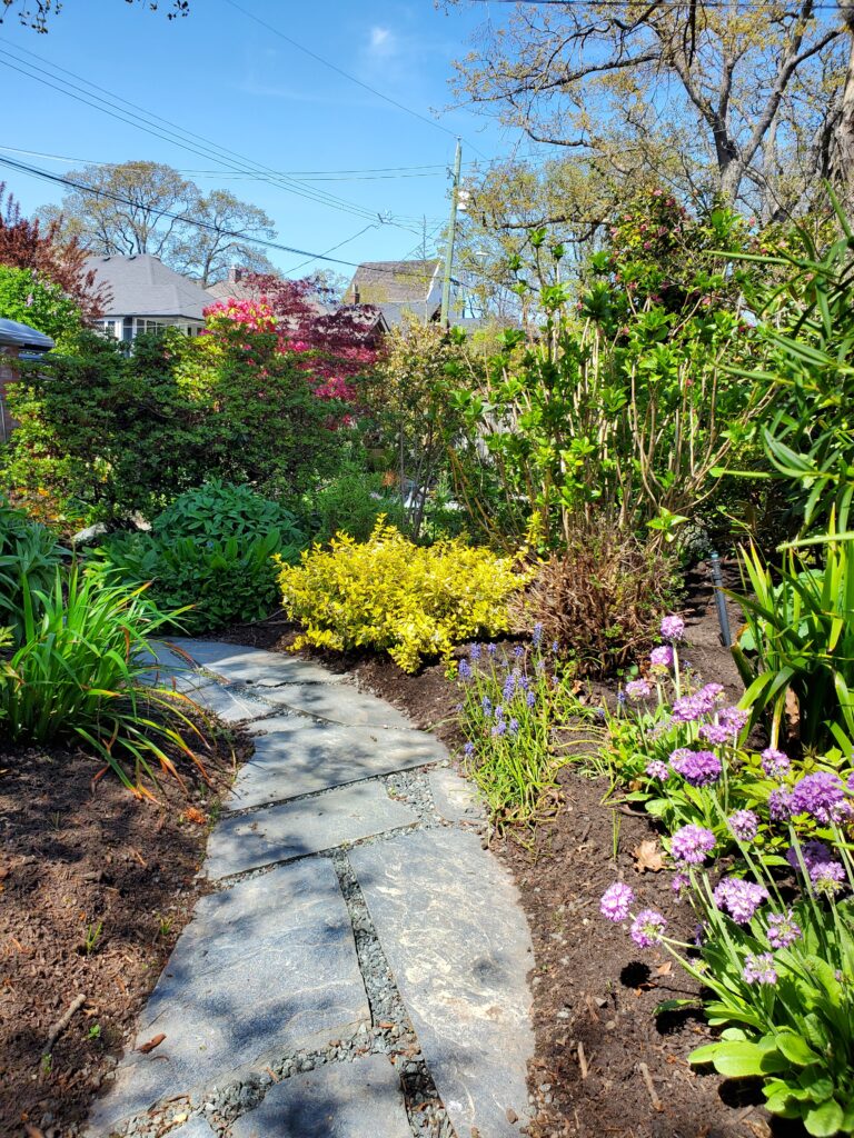 Stone path through a spring shade garden